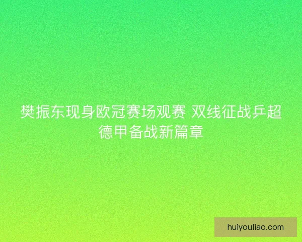 樊振东现身欧冠赛场观赛 双线征战乒超德甲备战新篇章